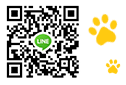 LINE QR